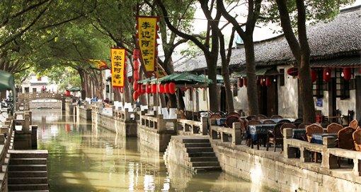 除虫大师